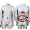 AAA SAFE ROBUSTMAN – Full Body Safety Harness,  Rope, Adjustable waist, Thigh wrap, Plastic Belt Back support, Scafolding Hook – SBLT-02