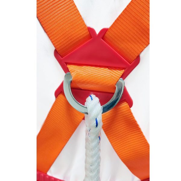 AAA SAFE Safeman- Full Body Safety Harness, Rope, Adjustable waist, Thigh wrap, Plastic Belt Back support, Scafolding Hook - SBLT-02