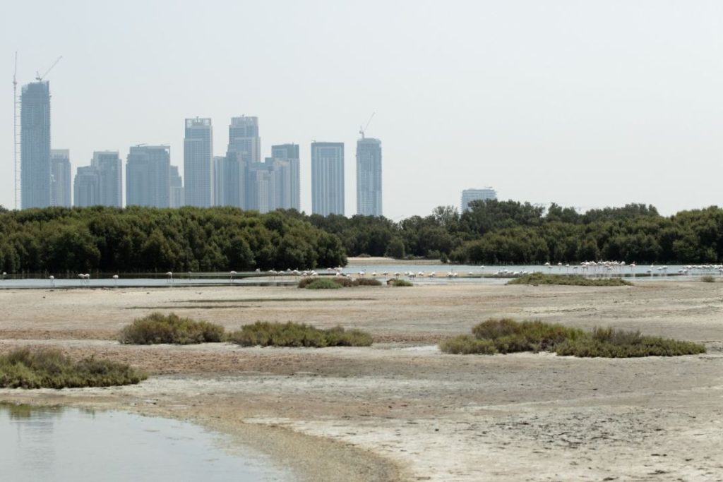 Safety Equipment in Ras al Khor